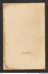 Nachlass Franz Steindachner, Brief von Sauvage an Franz Steindachner (18.05.1879), Inv.Nr. 439.01, Seite 8
